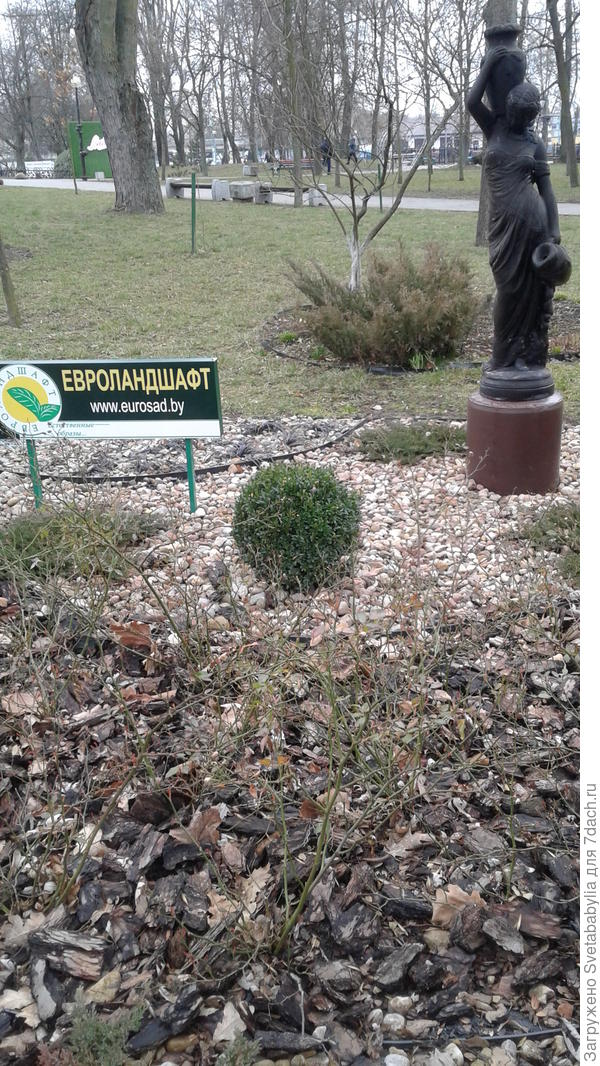 Участок "Евроландшафта"
