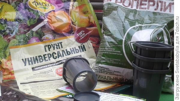 грунт и стаканы