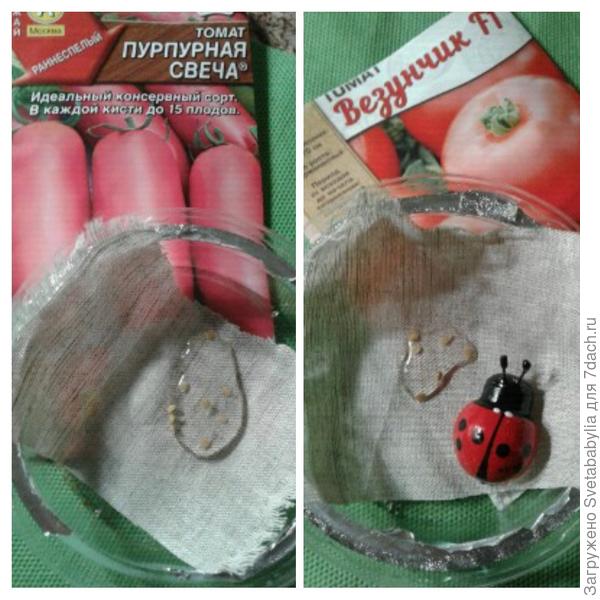 замачивание