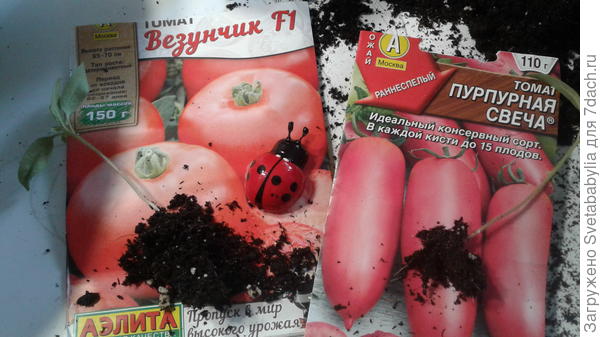 крепкие растения
