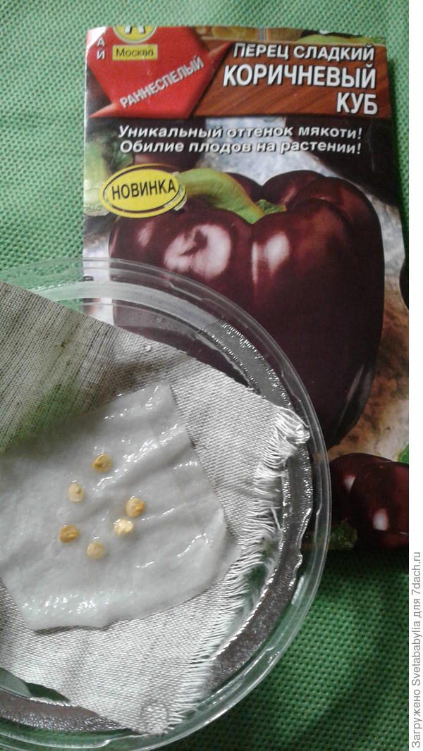 замачивание