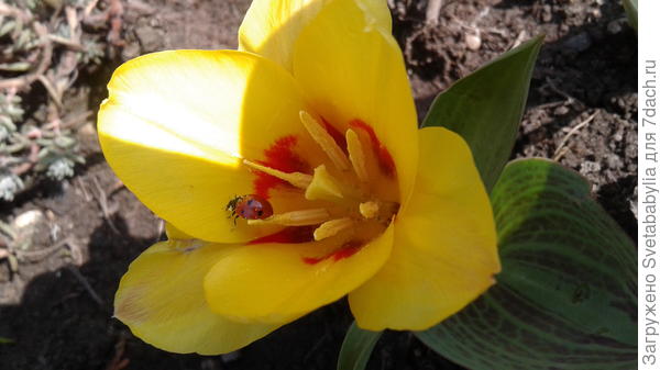 А нас сегодня так