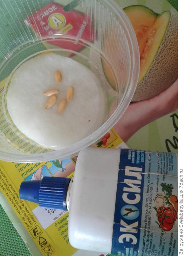замачивание.