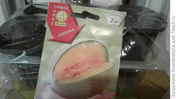 ждем.