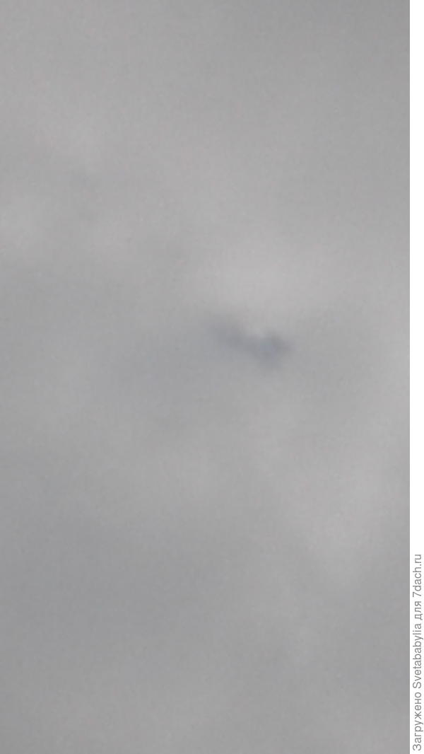 Небо с пупочком