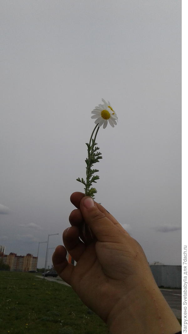 Рука совсемсовсем молодого человека