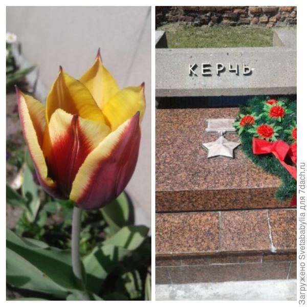 для