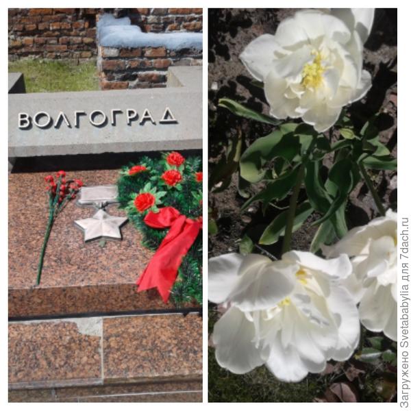 для