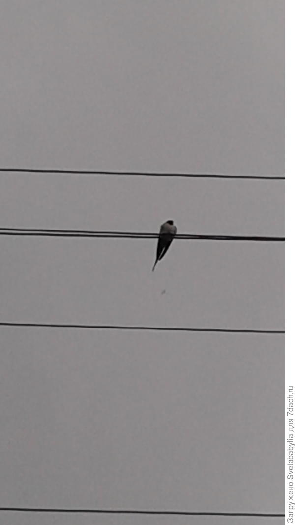 Холодно. Сыро.