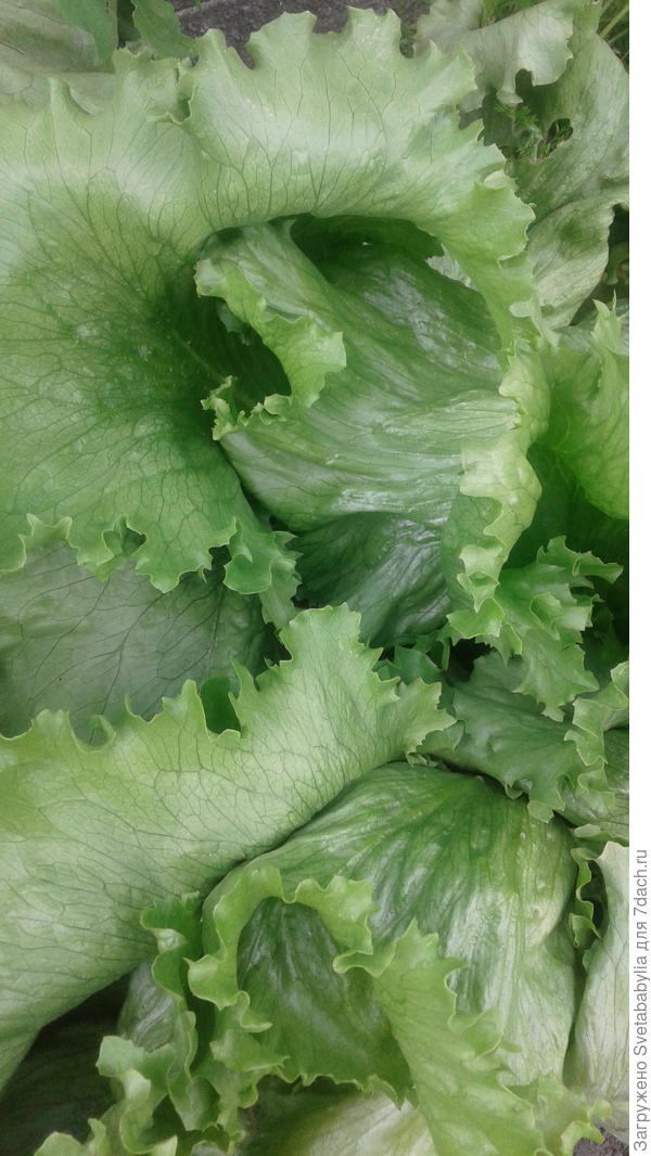 Великие озера.