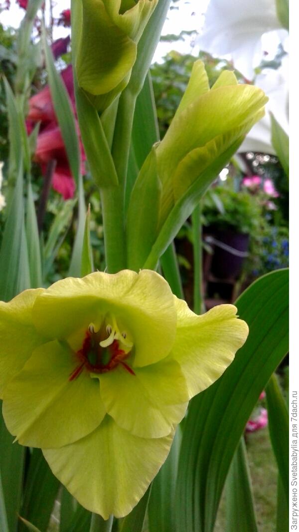 Надежности