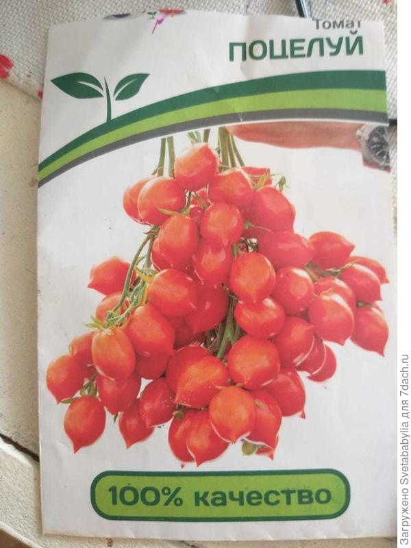 А помидорки неожиданно достойные.