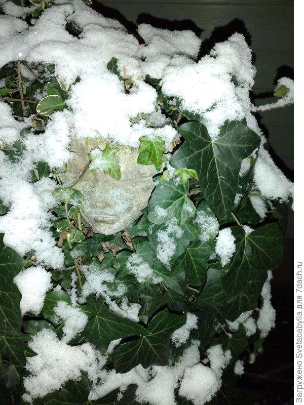 А снег идет!