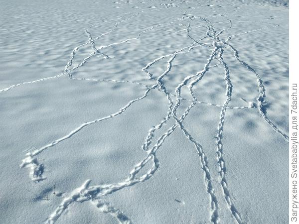 Первая посадка.