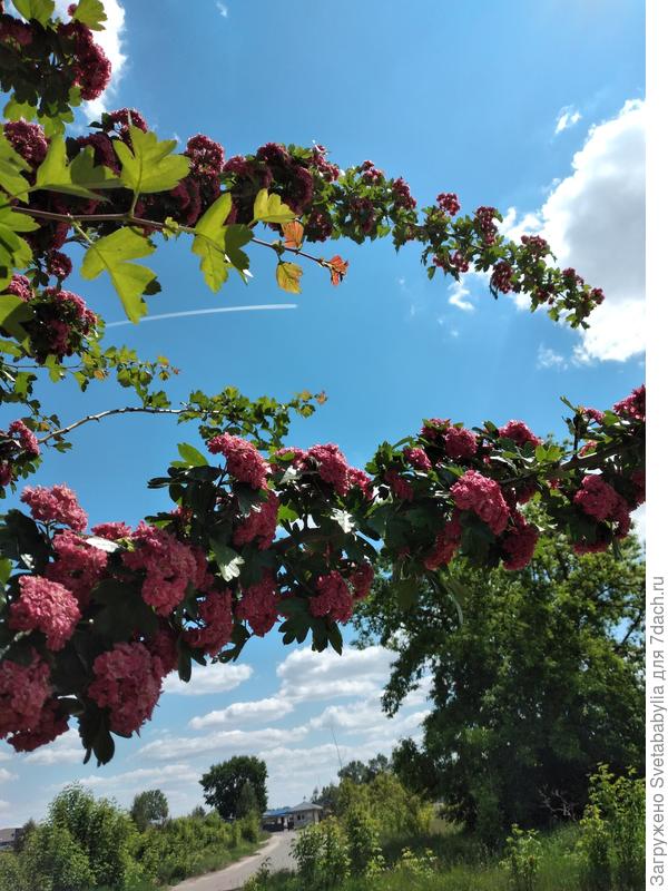 Самолеты облетают Беларусь