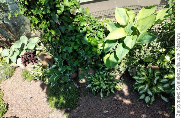 Частично согласна!