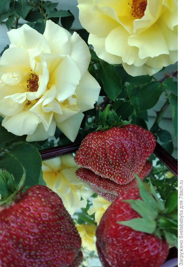 Просто так.