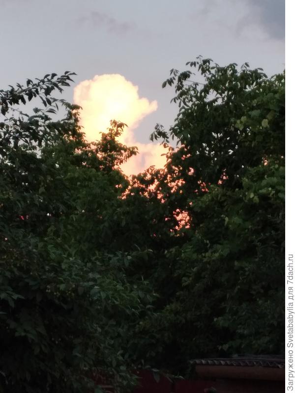 Сейчас так.