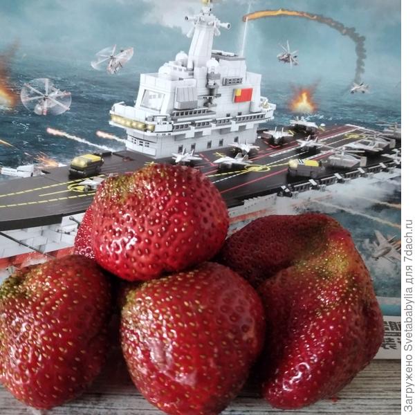 ...а радости по расписанию!