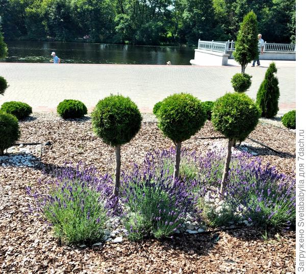 Набережная.