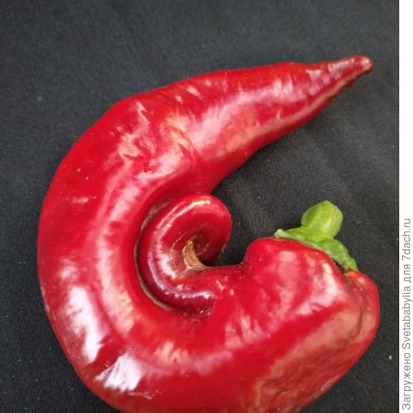 Бывает и так.