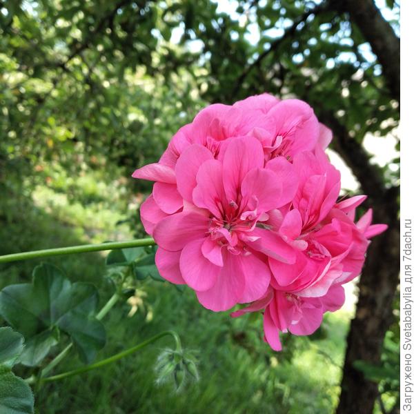 И много их не бывает!