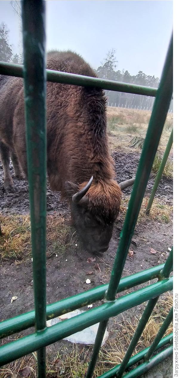 Привет Семидачникам