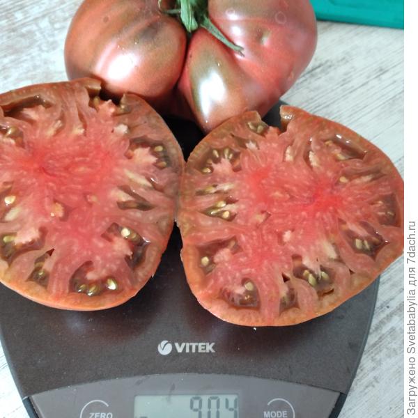 Бычье сердце черное