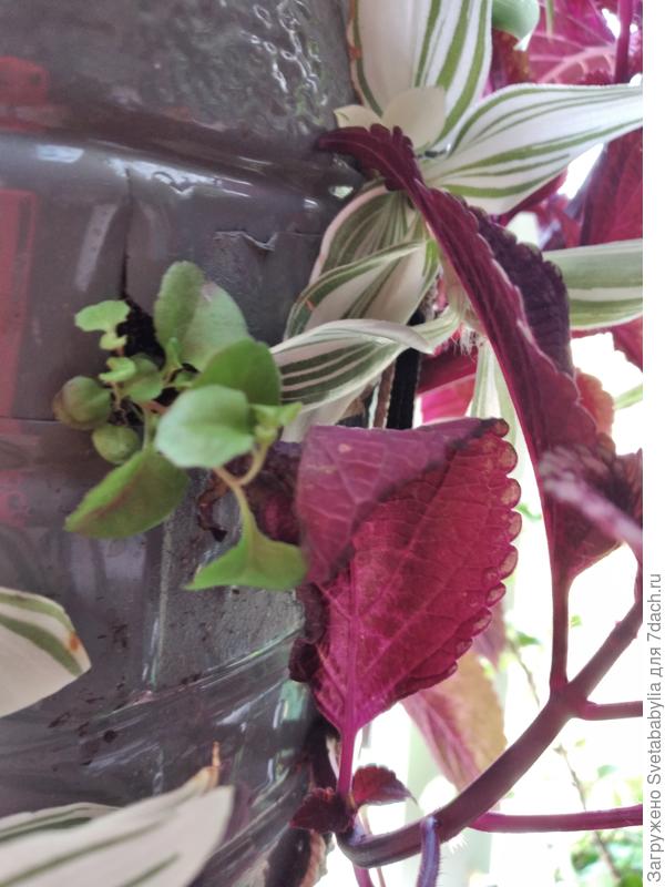 Фотография неудачная, но принцип понятен.