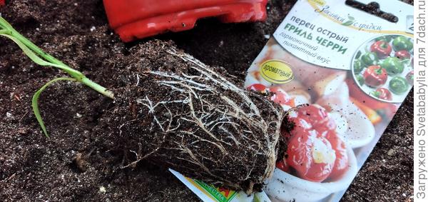 Перевалку я затеяла