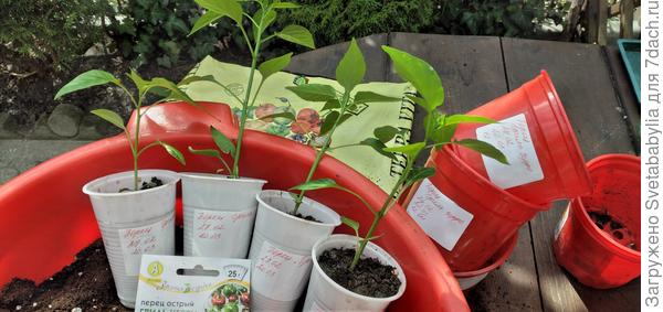 Горшочки объемом 400 гр