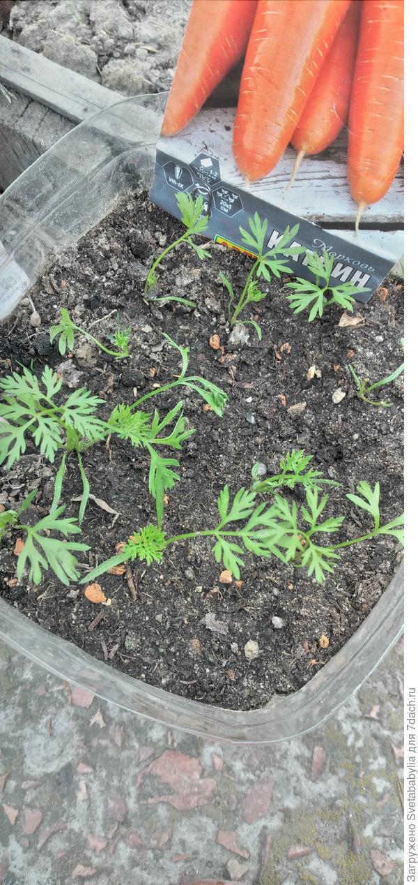 11 мая в банке