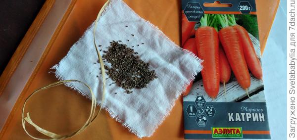 Выкладываю семена на х/б салфетку