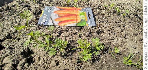 До встречи во 2 части!