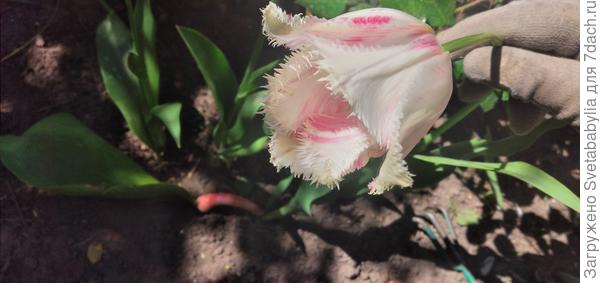 Это как -то связано?