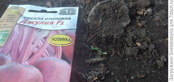 всходы