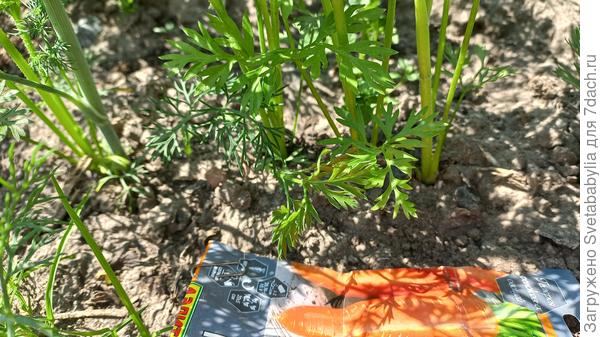 До встречи в третьем этапе