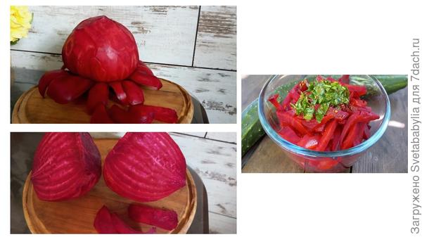 Все корнеплоды оказались целыми, без заболеваний.