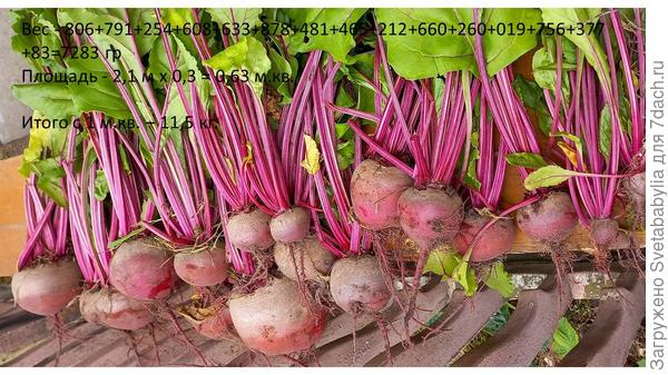 Моя Джулия обошла заявленный вес - 110-180 гр