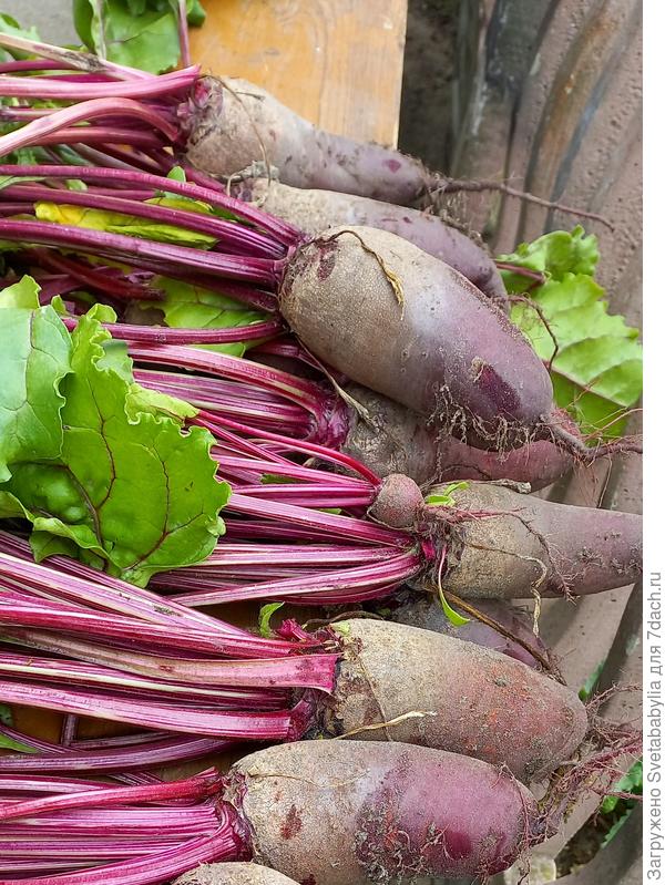 пппппппппп