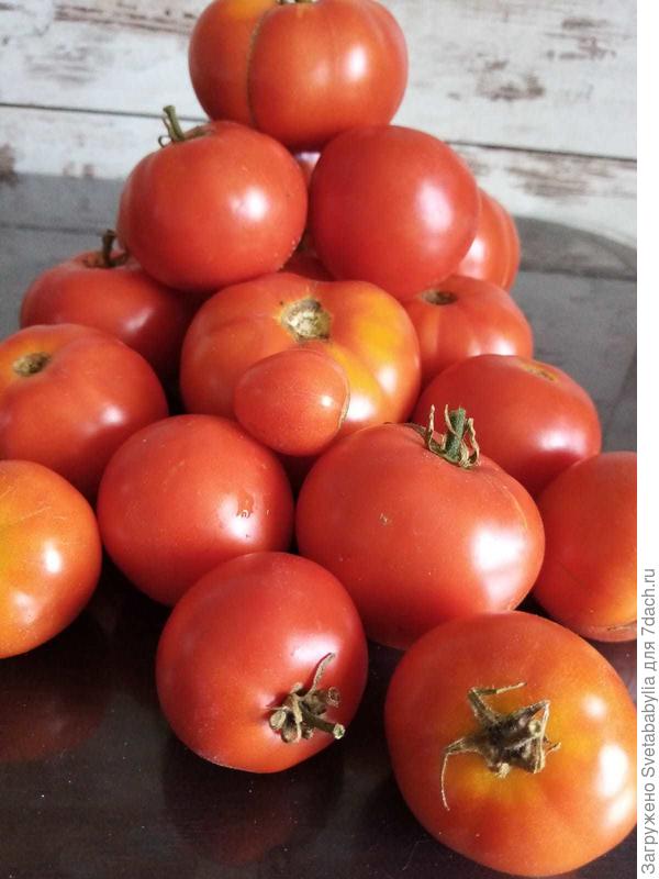 Урожай 2022 года