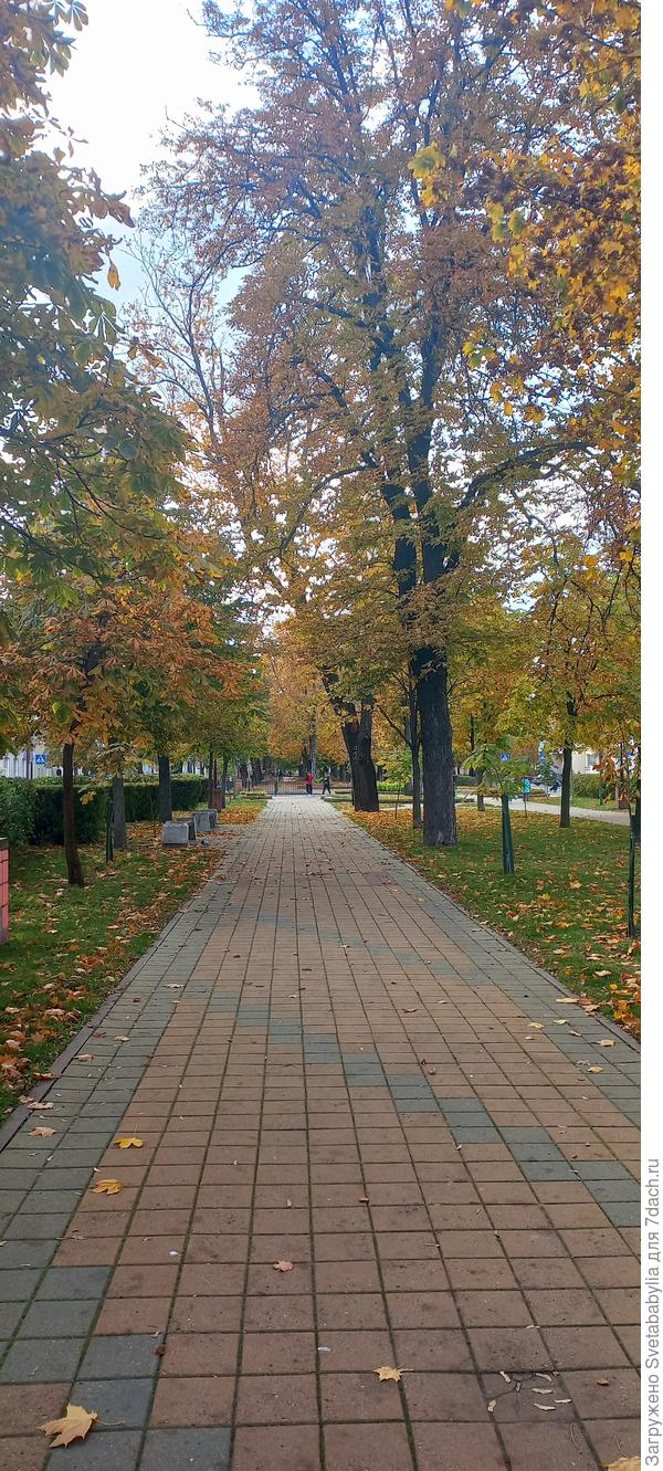 Осенний город