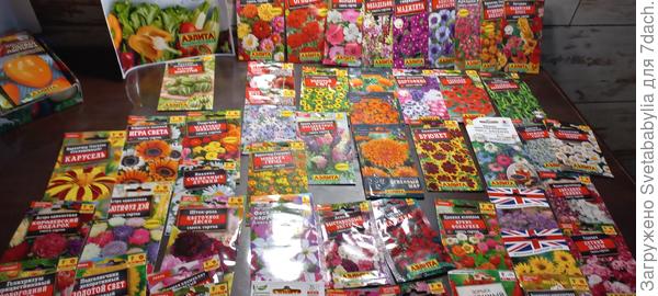 цветочная поляна