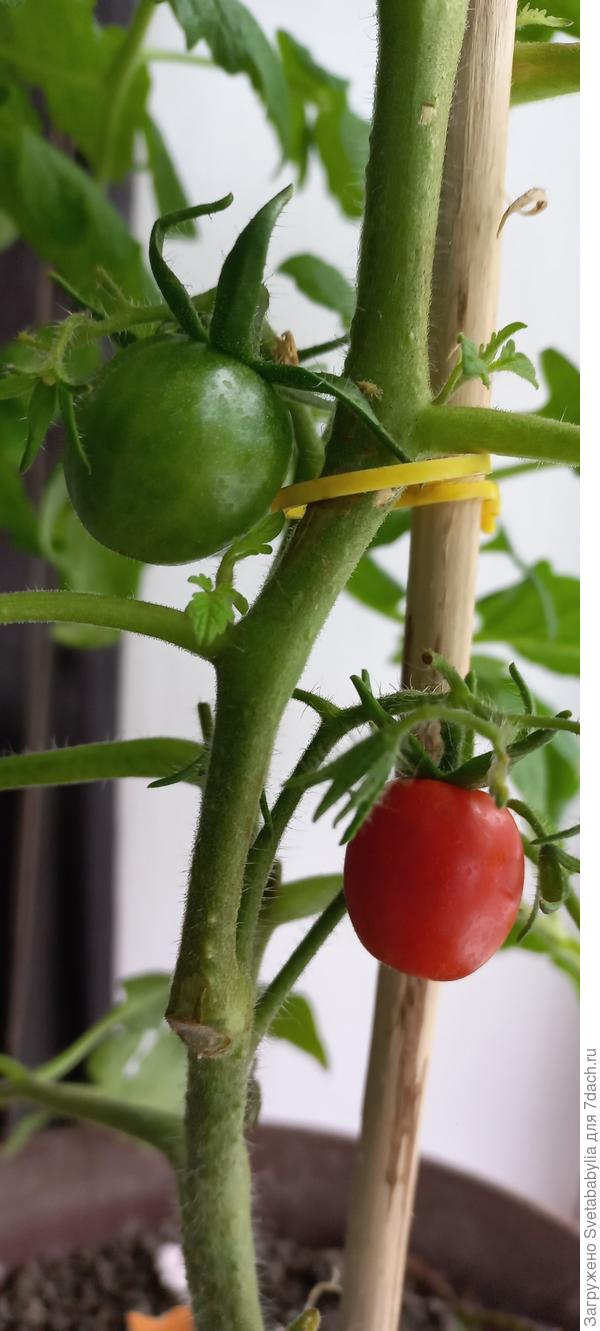 Сезон продолжается!