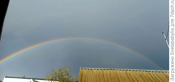 Радуга
