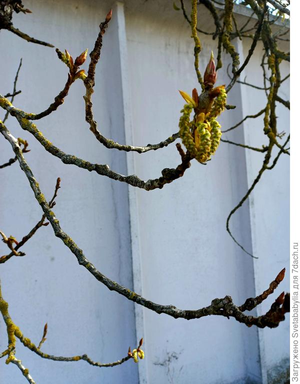 Все равно весна