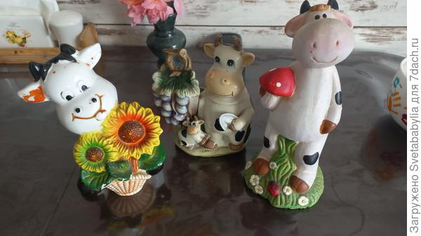 Это про нас, огордниц