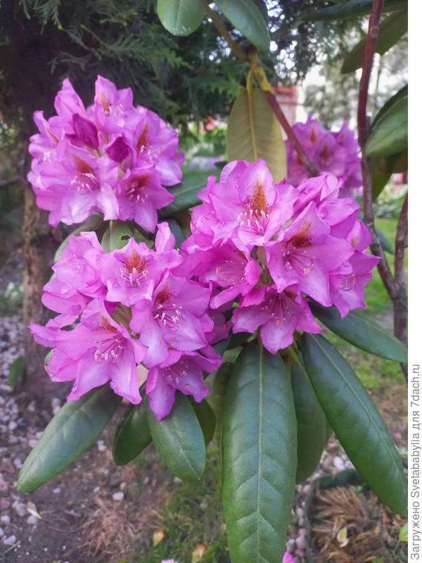 Еще чуток...