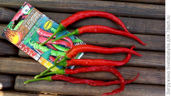 длина от 15 до 20 см