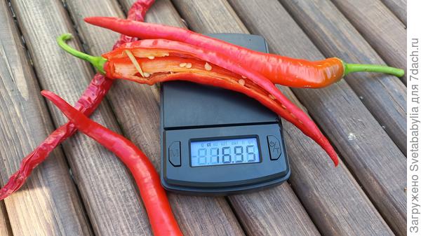 Семечек не так много